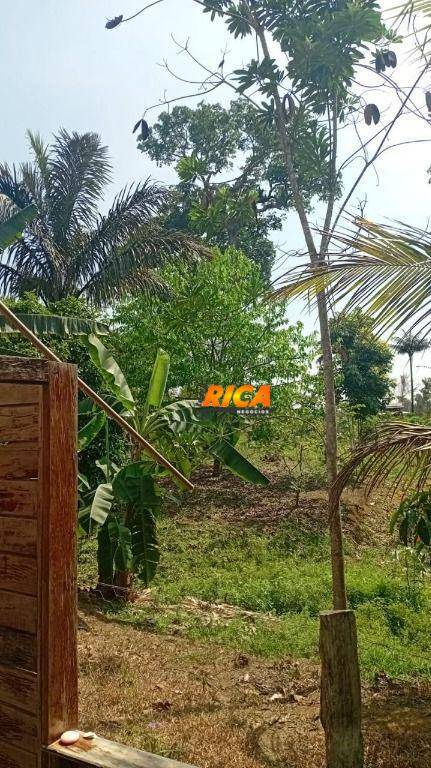 Chácara, 6 hectares - Foto 16