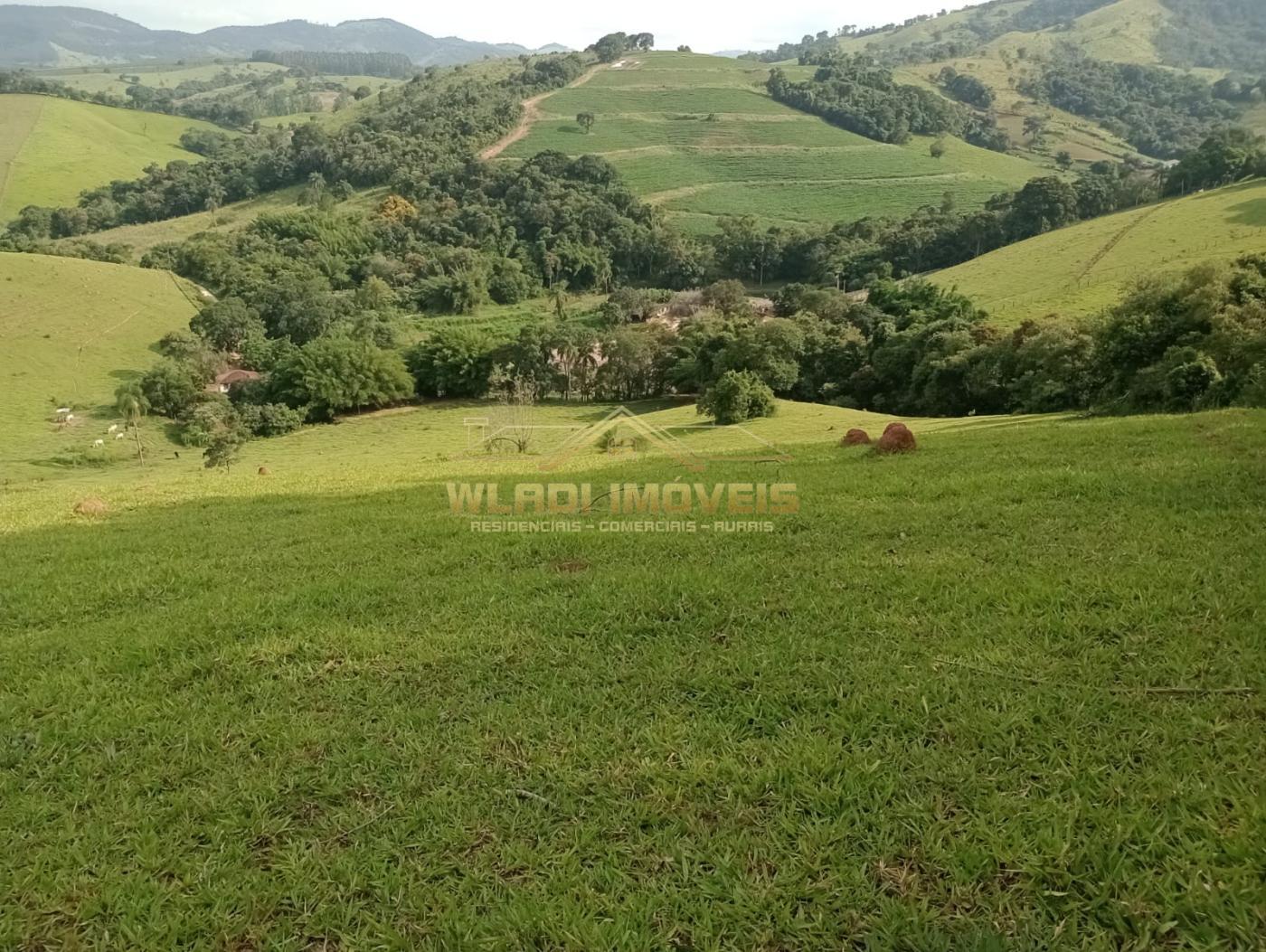 Fazenda à venda com 4 quartos, 7m² - Foto 1