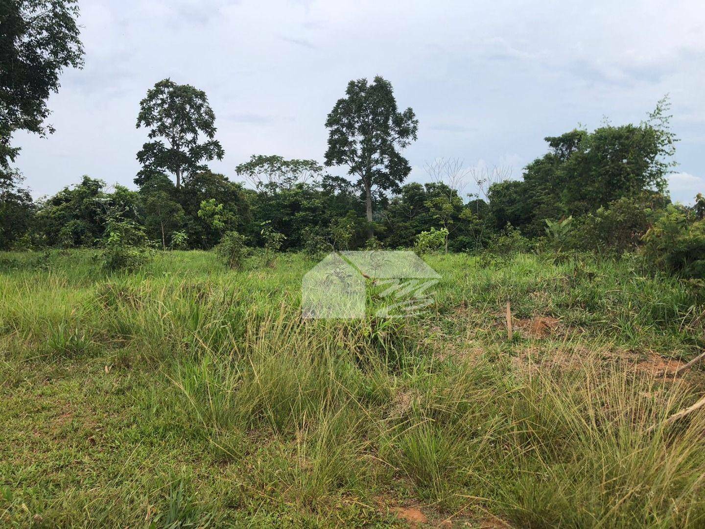 Chácara à venda com 1 quarto, 3024M2 - Foto 3