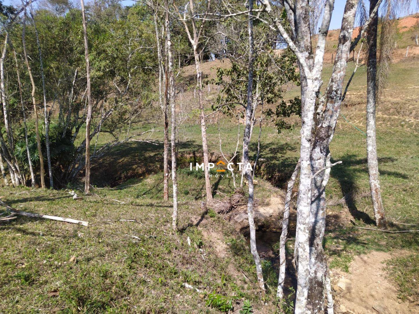 Terreno, 3 hectares - Foto 4