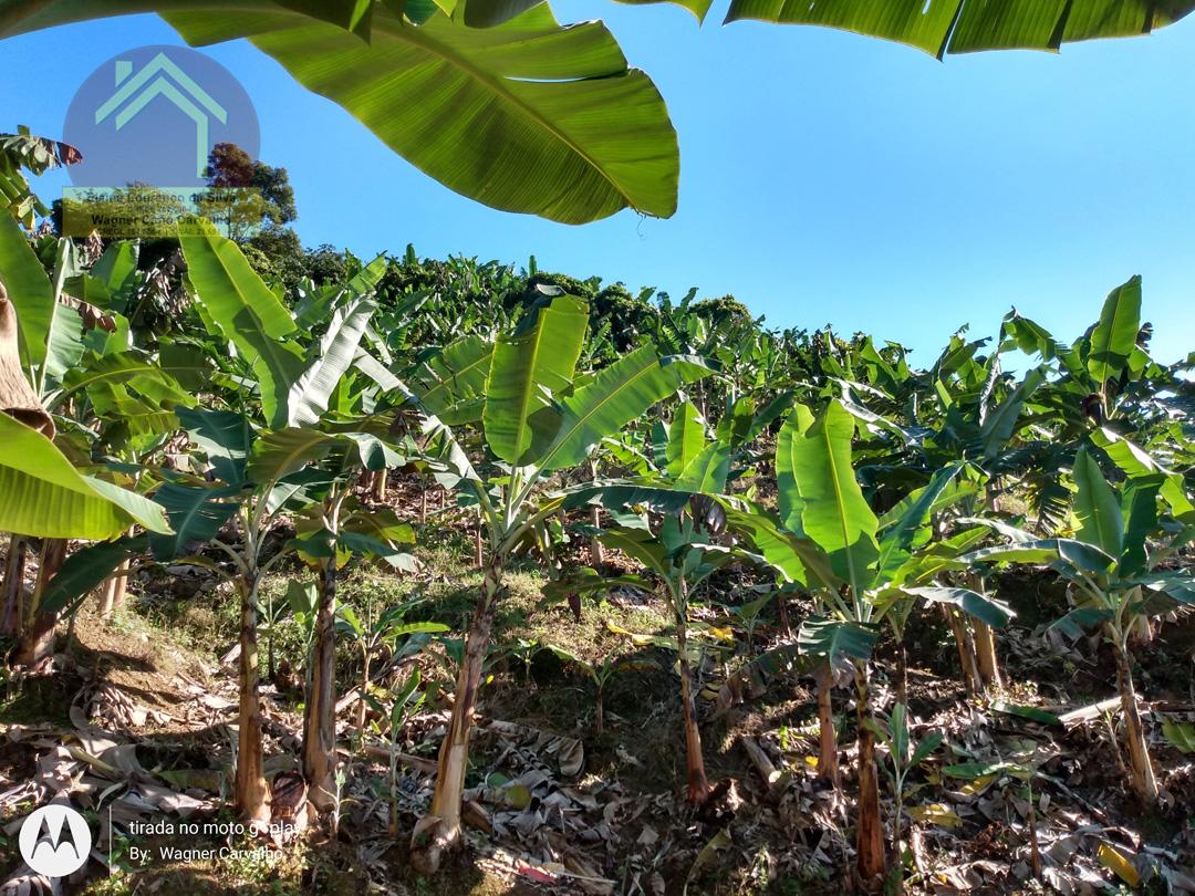 Fazenda à venda com 2 quartos, 8m² - Foto 17