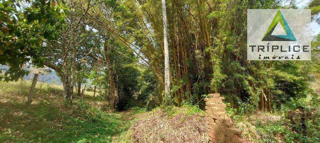 Fazenda à venda com 8 quartos, 1910000M2 - Foto 22