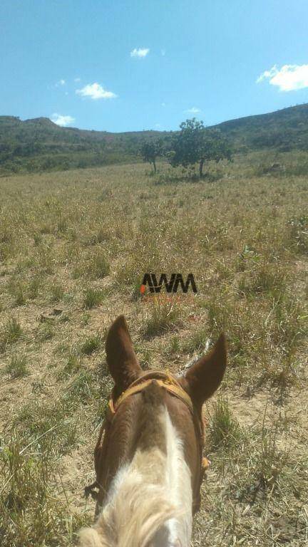 Fazenda à venda, 4540000M2 - Foto 7