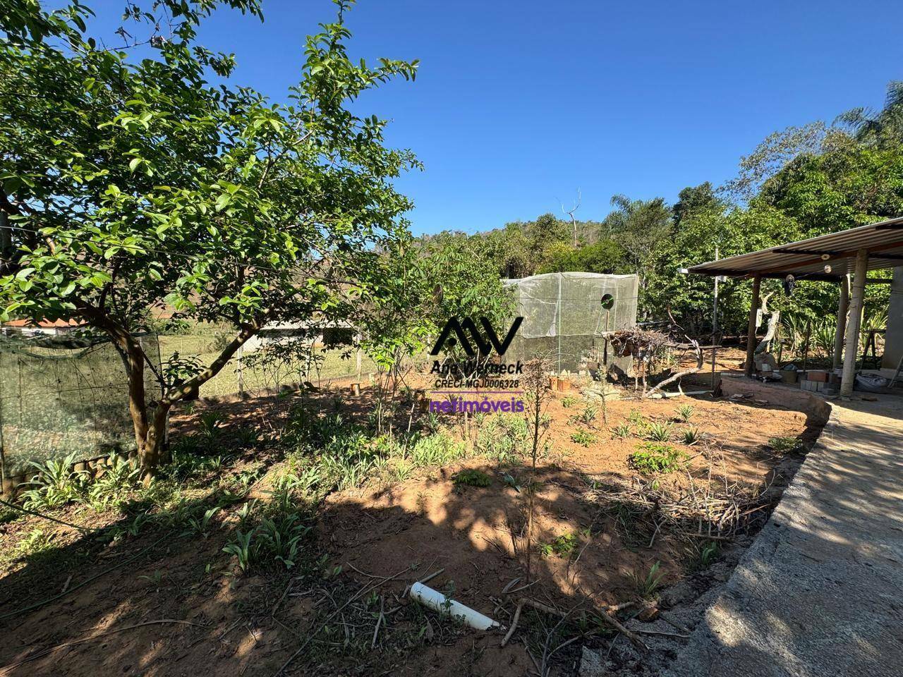 Sítio, 3 quartos, 1123 m² - Foto 5