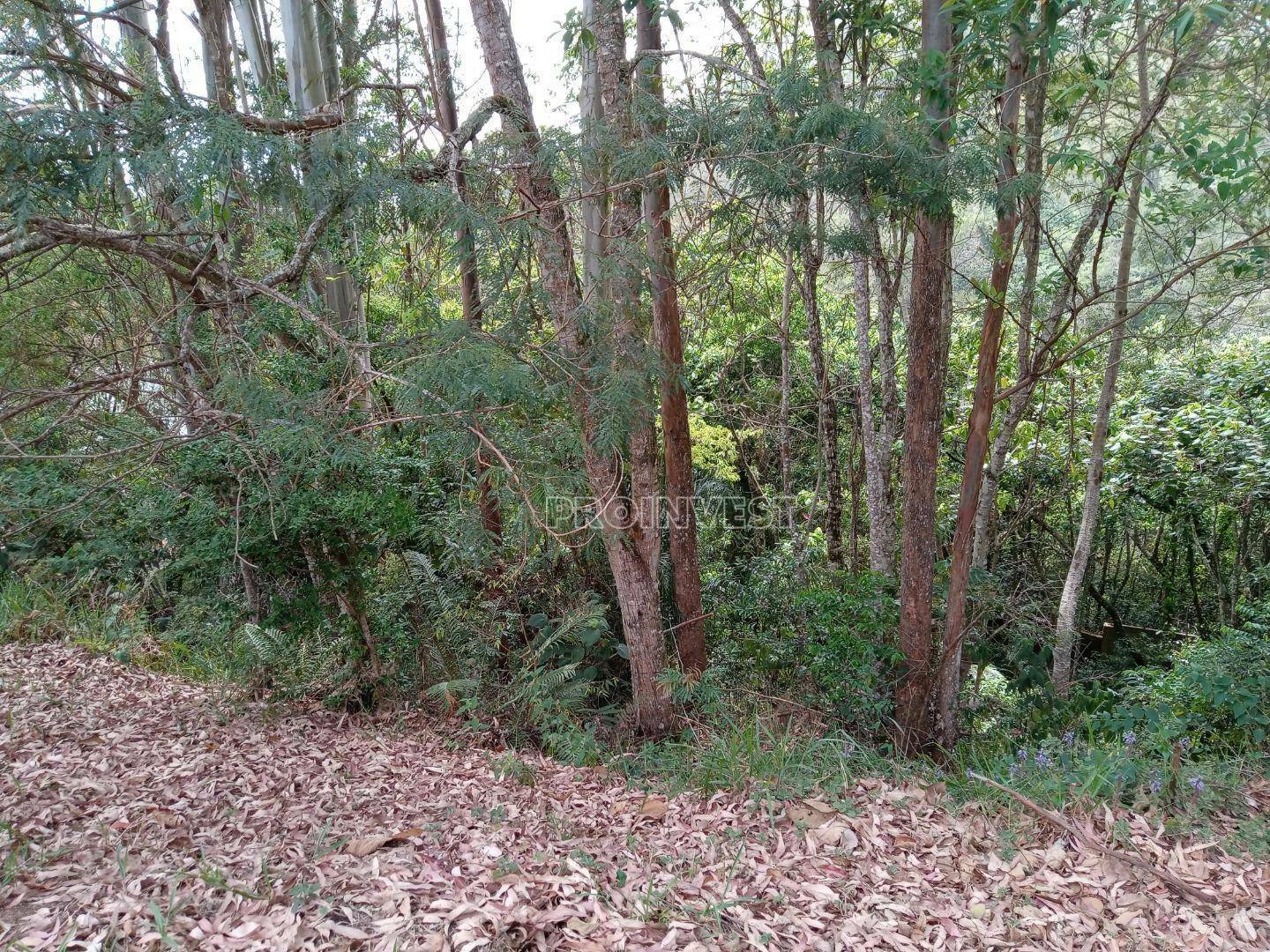 Loteamento e Condomínio à venda, 783M2 - Foto 2