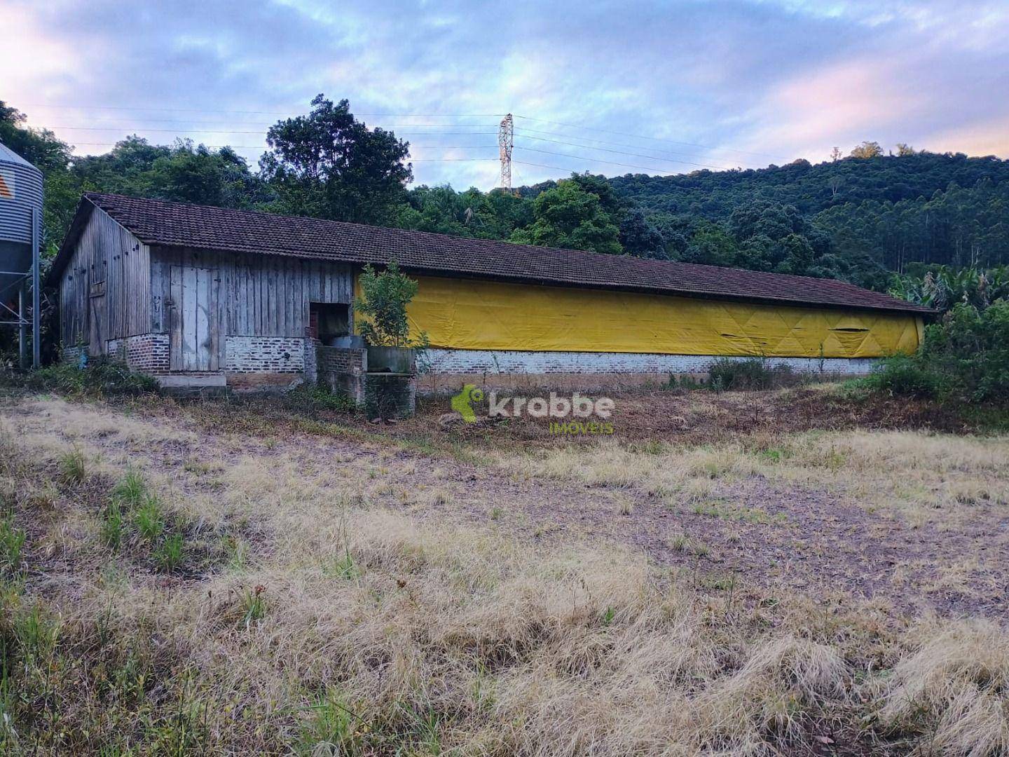 Terreno, 15 hectares - Foto 5