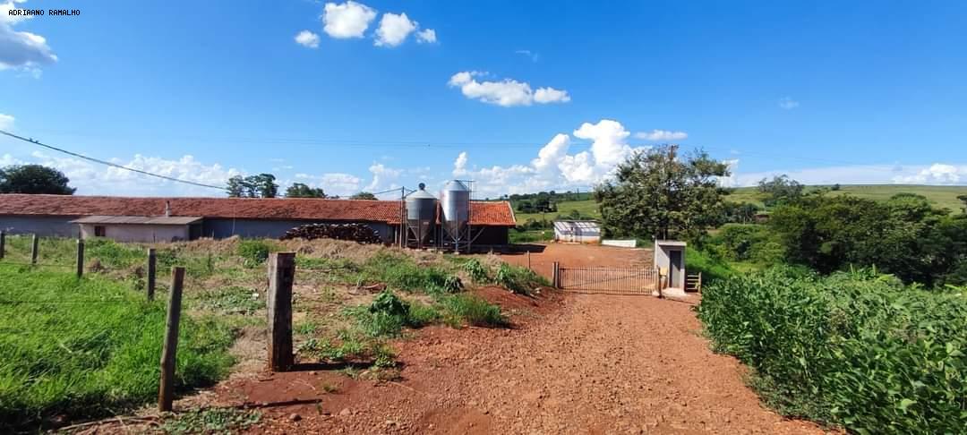 Terreno à venda com 2 quartos, 36300m² - Foto 12