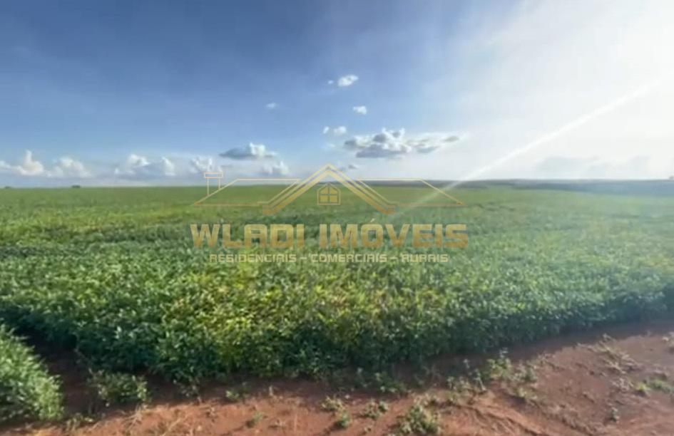 Fazenda à venda, 420m² - Foto 4