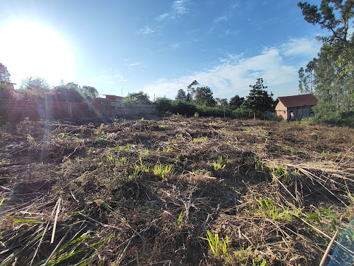 Terreno à venda, 350M2 - Foto 4