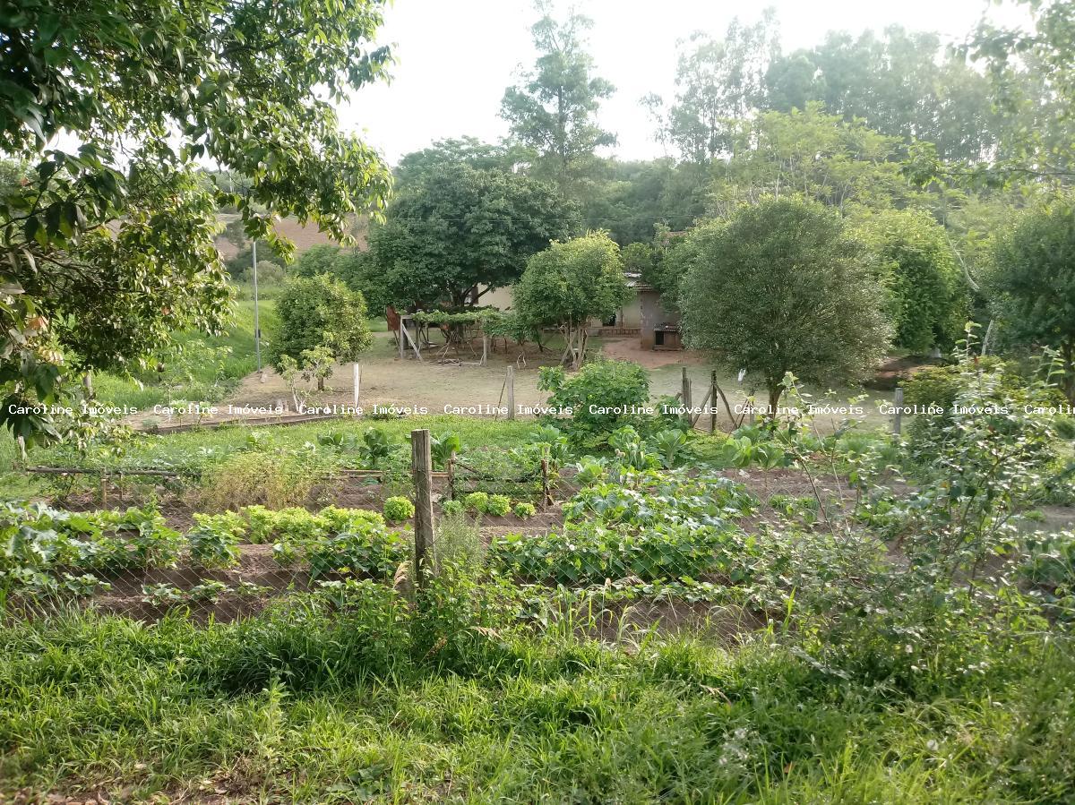 Sítio à venda com 3 quartos, 60000m² - Foto 31