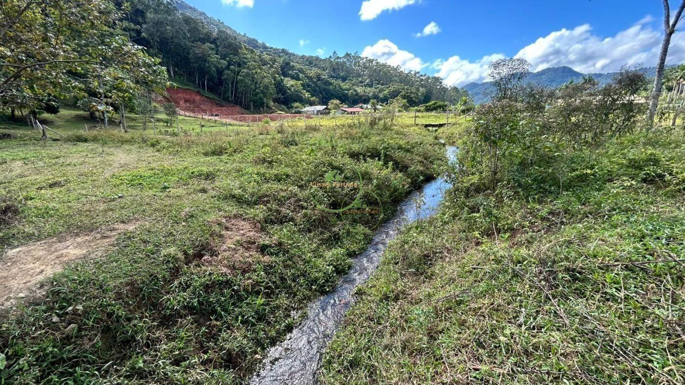 Terreno, 4 hectares - Foto 4