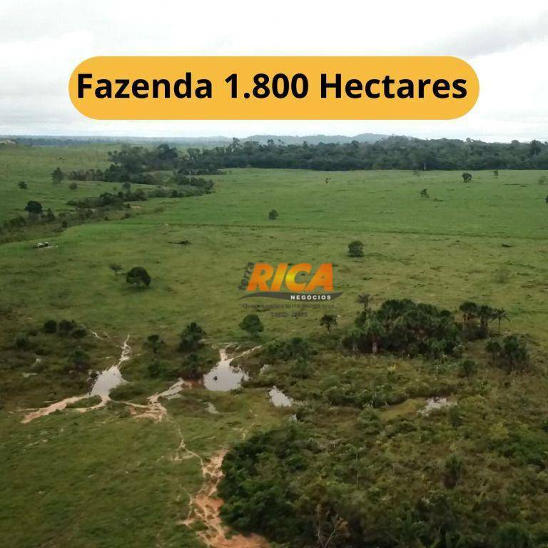 Fazenda-Sítio-Chácara, 1800 hectares - Foto 1