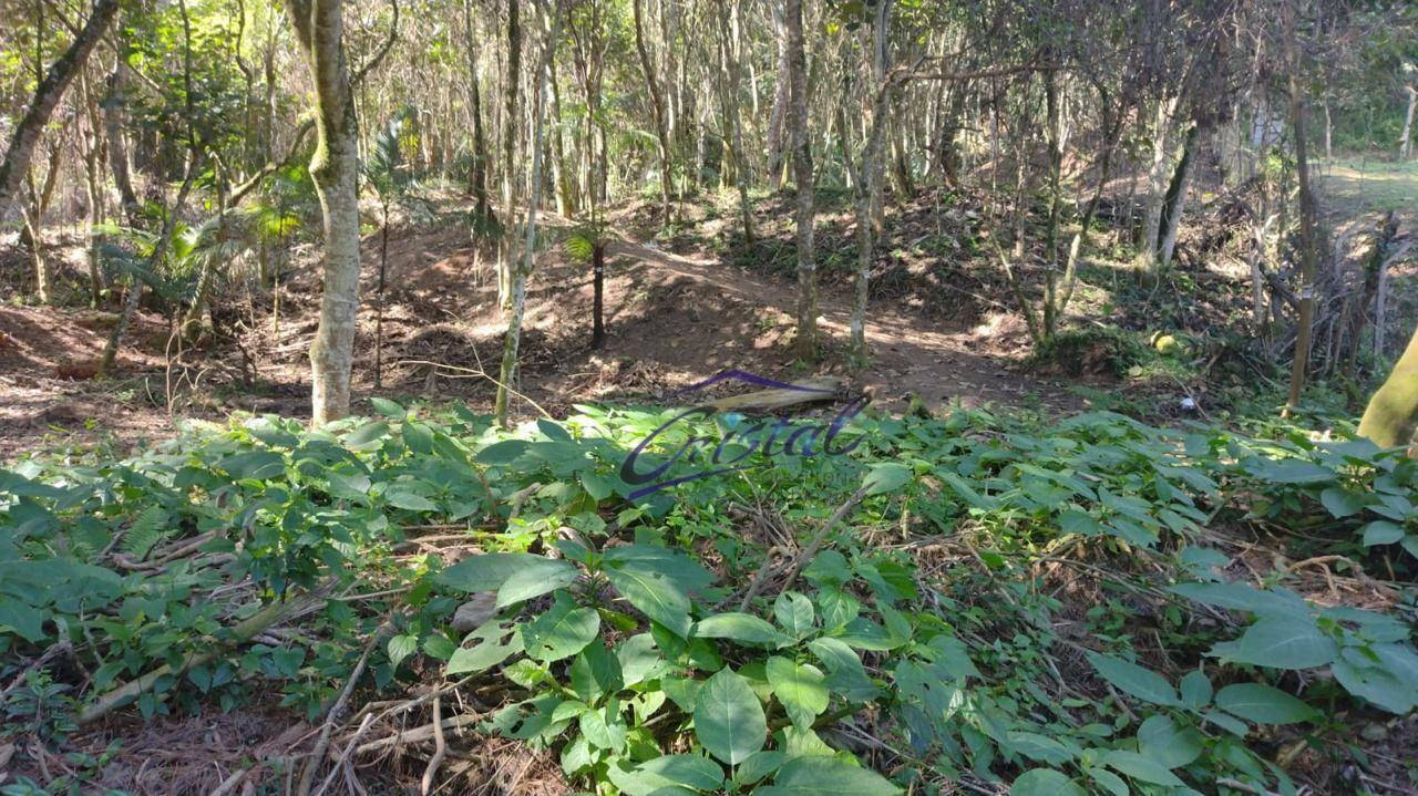 Loteamento e Condomínio à venda, 1592M2 - Foto 2