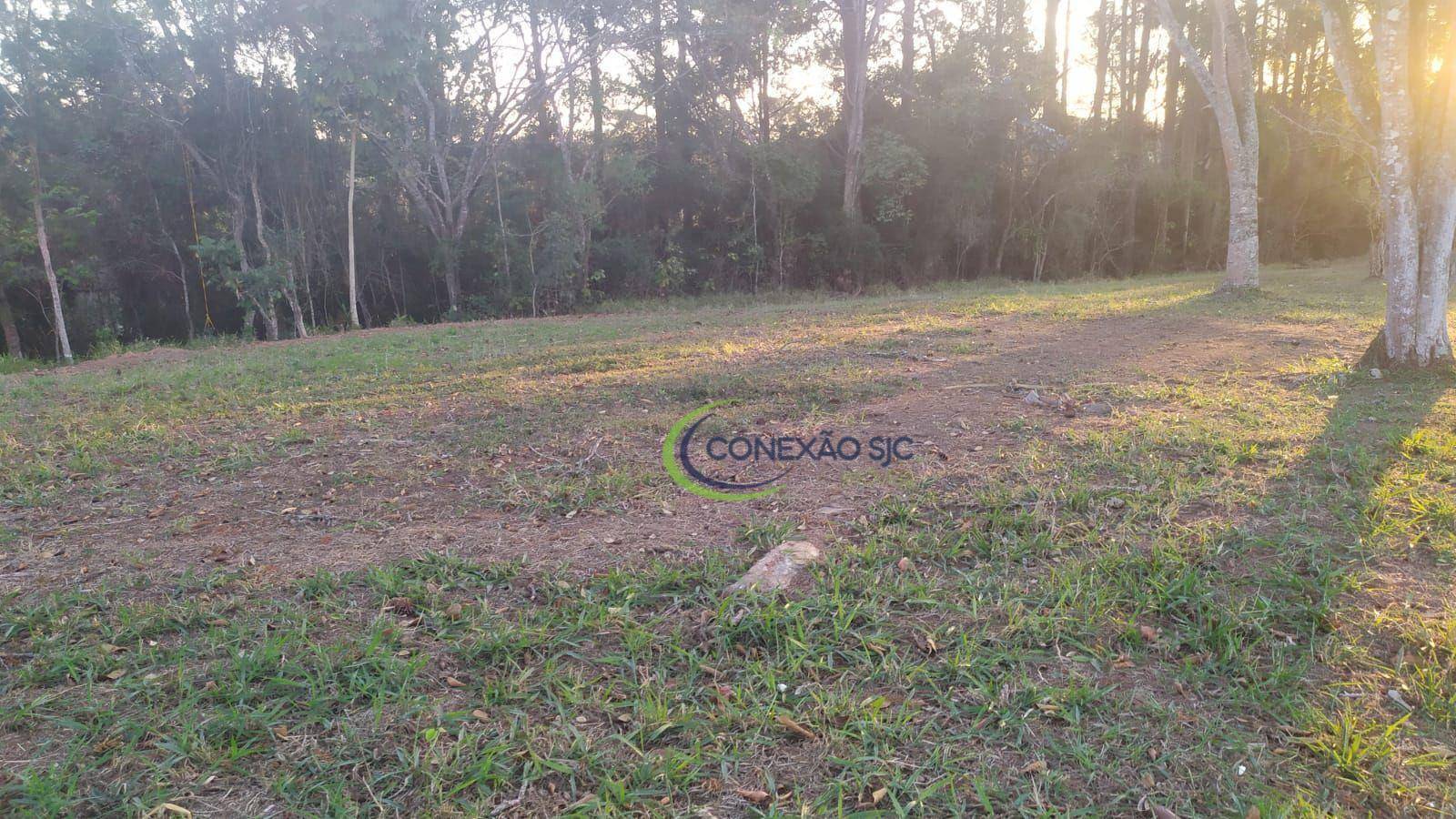 Loteamento e Condomínio, 1000 m² - Foto 2