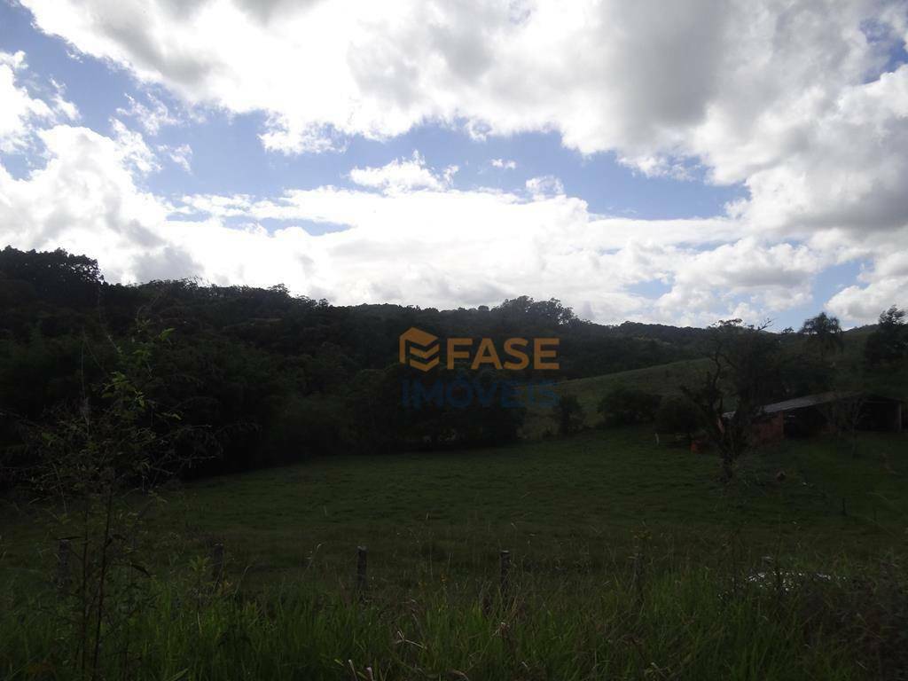 Terreno, 10 hectares - Foto 14