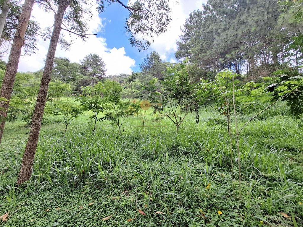 Fazenda à venda com 8 quartos, 52000m² - Foto 53