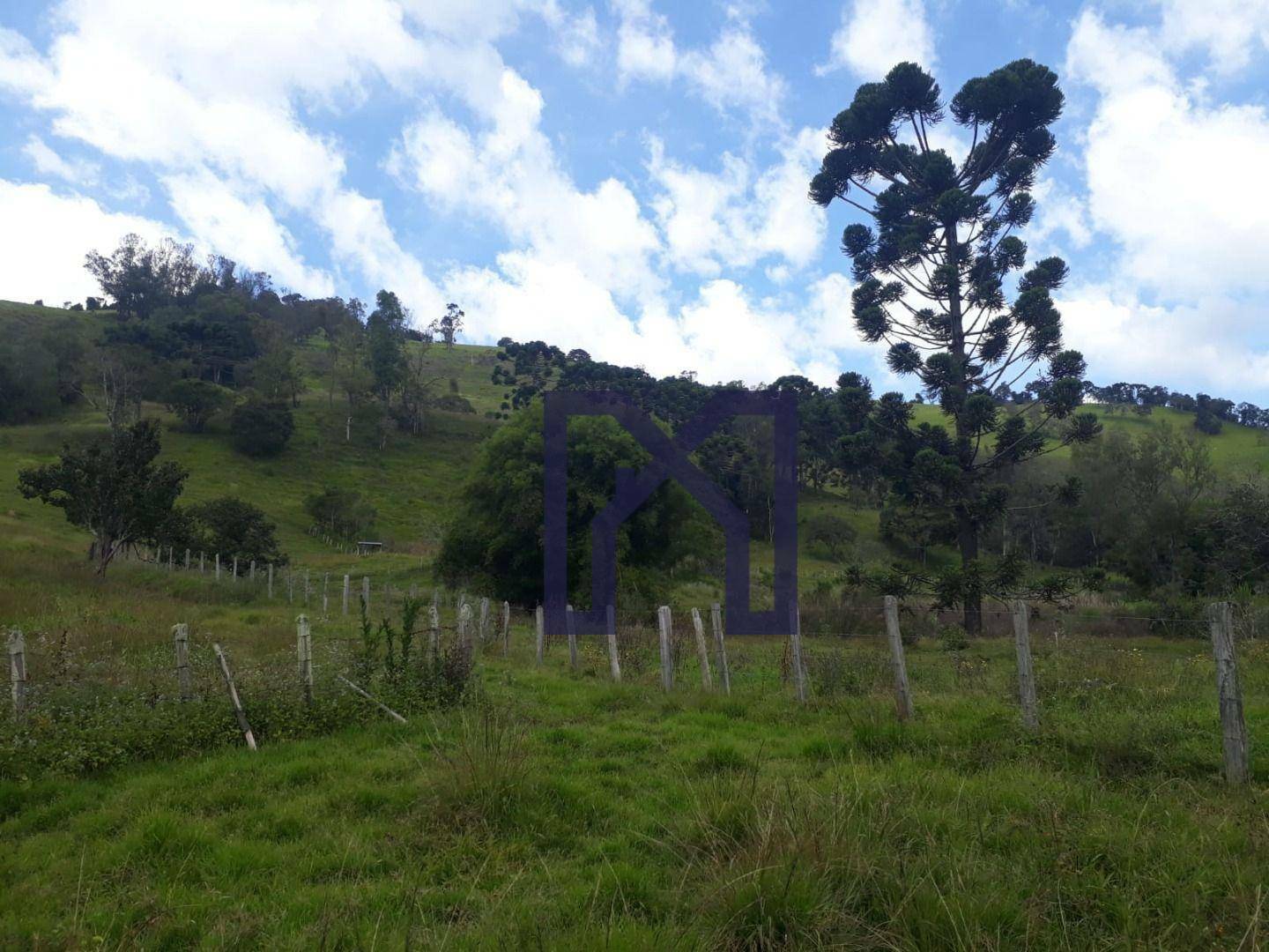 Sítio à venda, 360000M2 - Foto 2