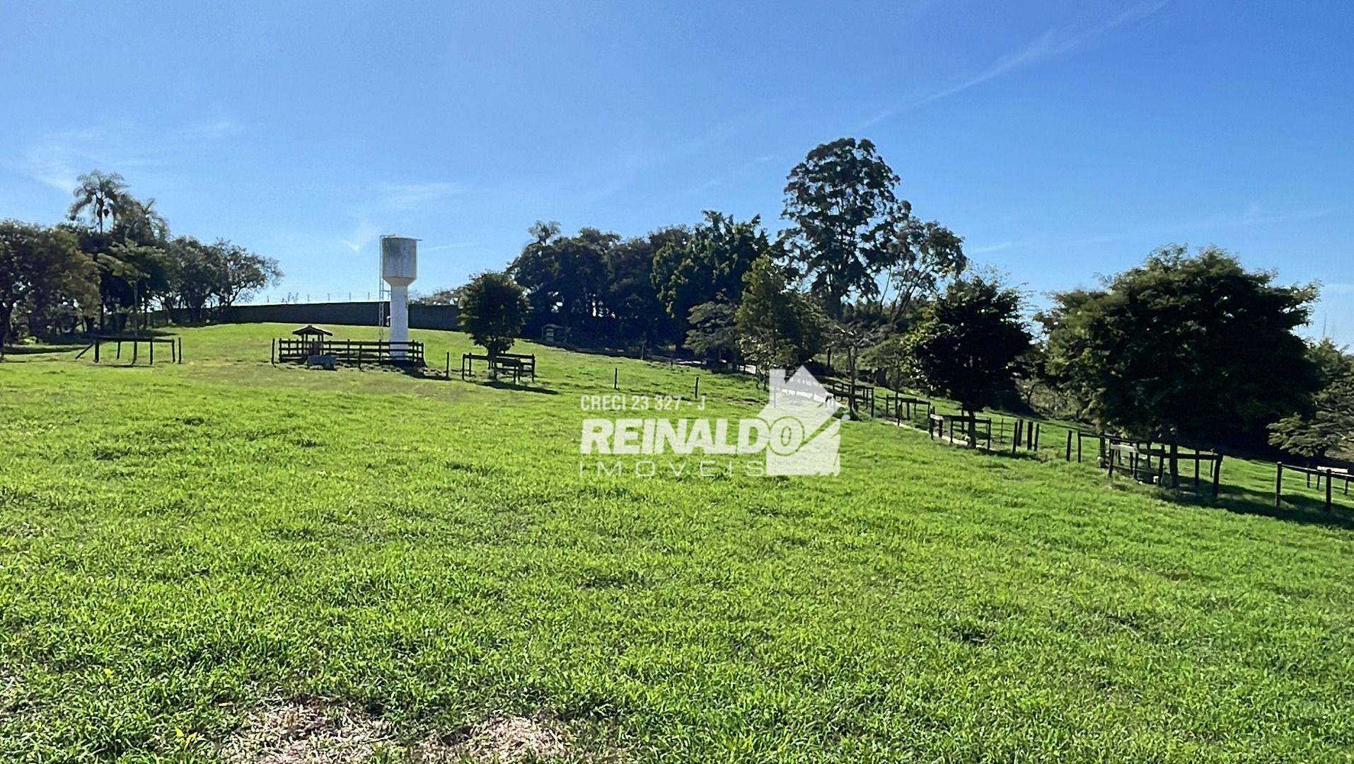 Haras e Área Rural Padrão à venda com 4 quartos, 1050m² - Foto 7