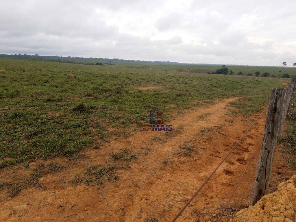 Fazenda-Sítio-Chácara, 3194 hectares - Foto 4