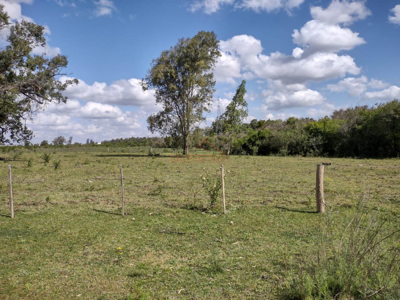 Fazenda-Sítio-Chácara - Foto 28