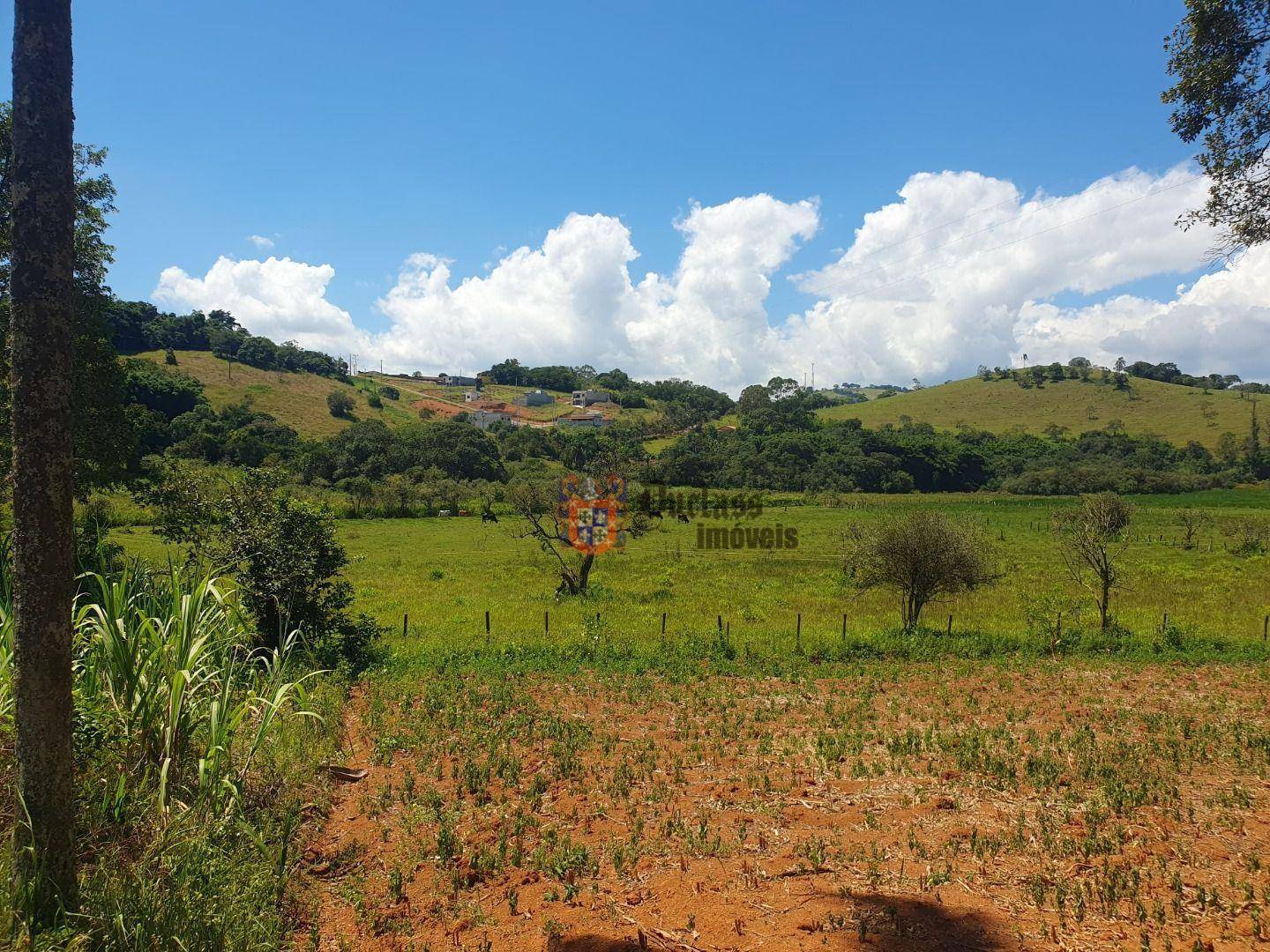 Sítio, 6 quartos, 3 hectares - Foto 3