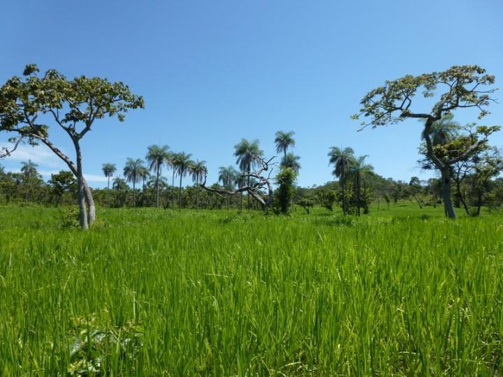 Chácara à venda, 1200m² - Foto 3