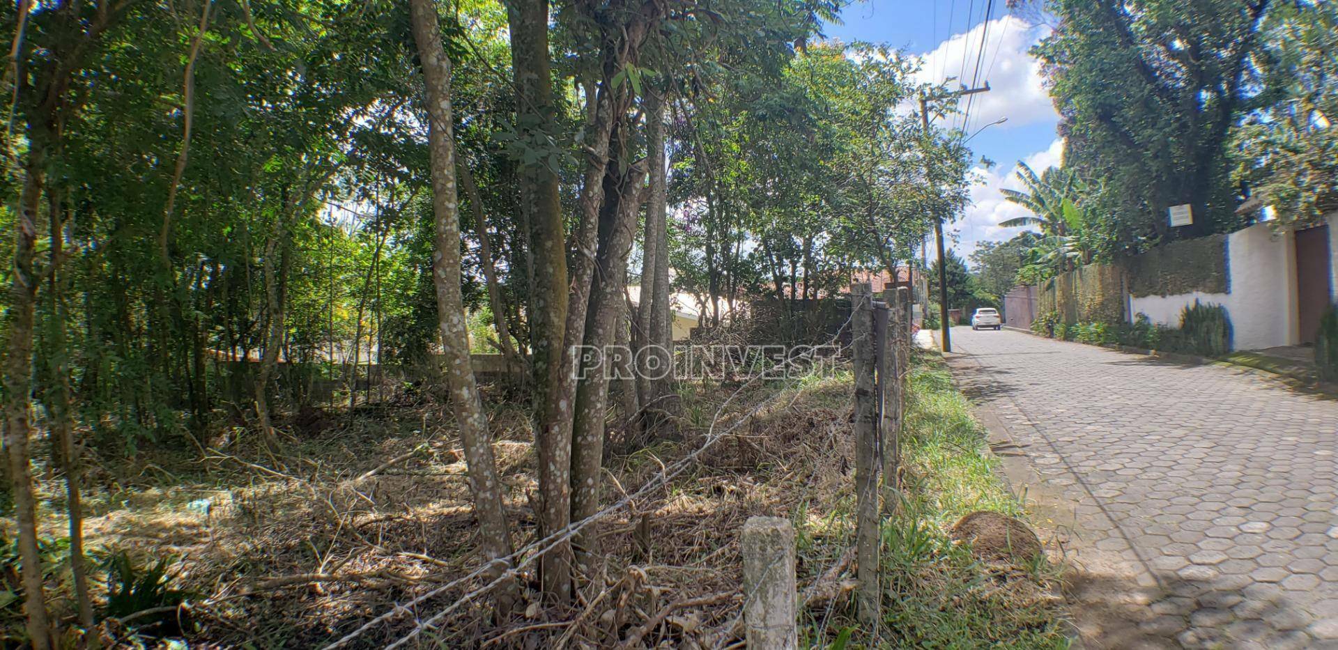 Loteamento e Condomínio à venda, 1000M2 - Foto 4