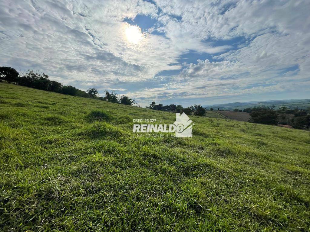 Terreno à venda, 12000M2 - Foto 2