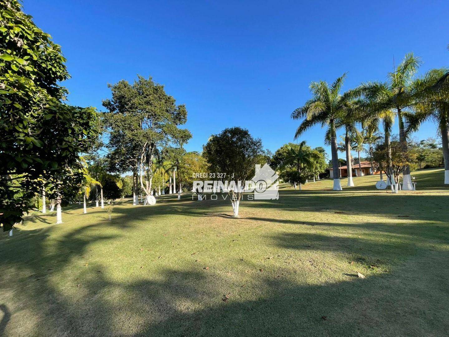 Sítio à venda com 2 quartos, 800m² - Foto 47