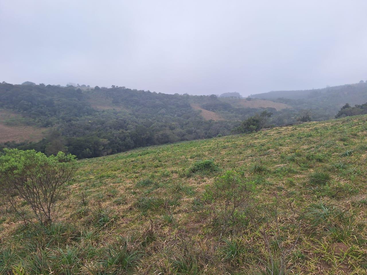 Loteamento e Condomínio à venda, 160000m² - Foto 7