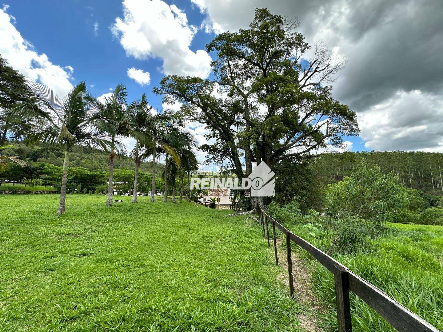 Sítio à venda com 3 quartos, 2920m² - Foto 40