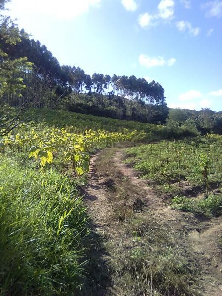 Loteamento e Condomínio à venda, 90000m² - Foto 5