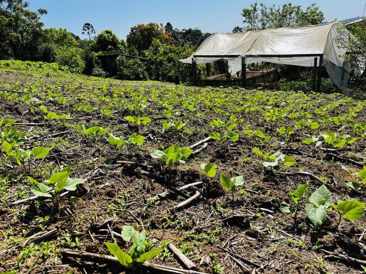 Fazenda à venda, 6300m² - Foto 47