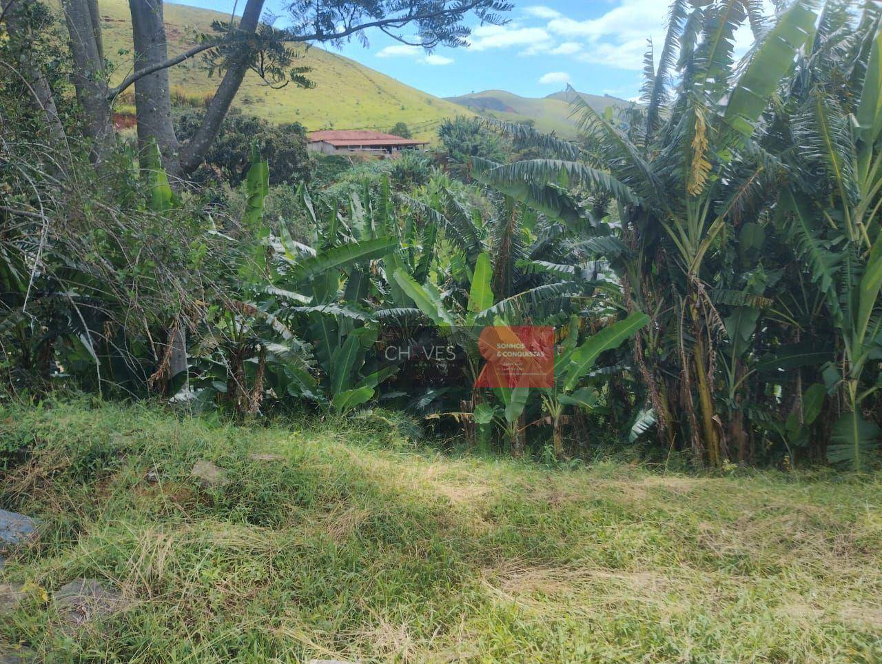 Sítio, 3 quartos, 2 hectares - Foto 2