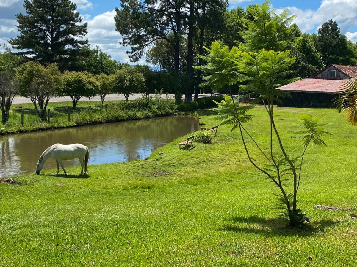 Fazenda à venda com 2 quartos, 3m² - Foto 13