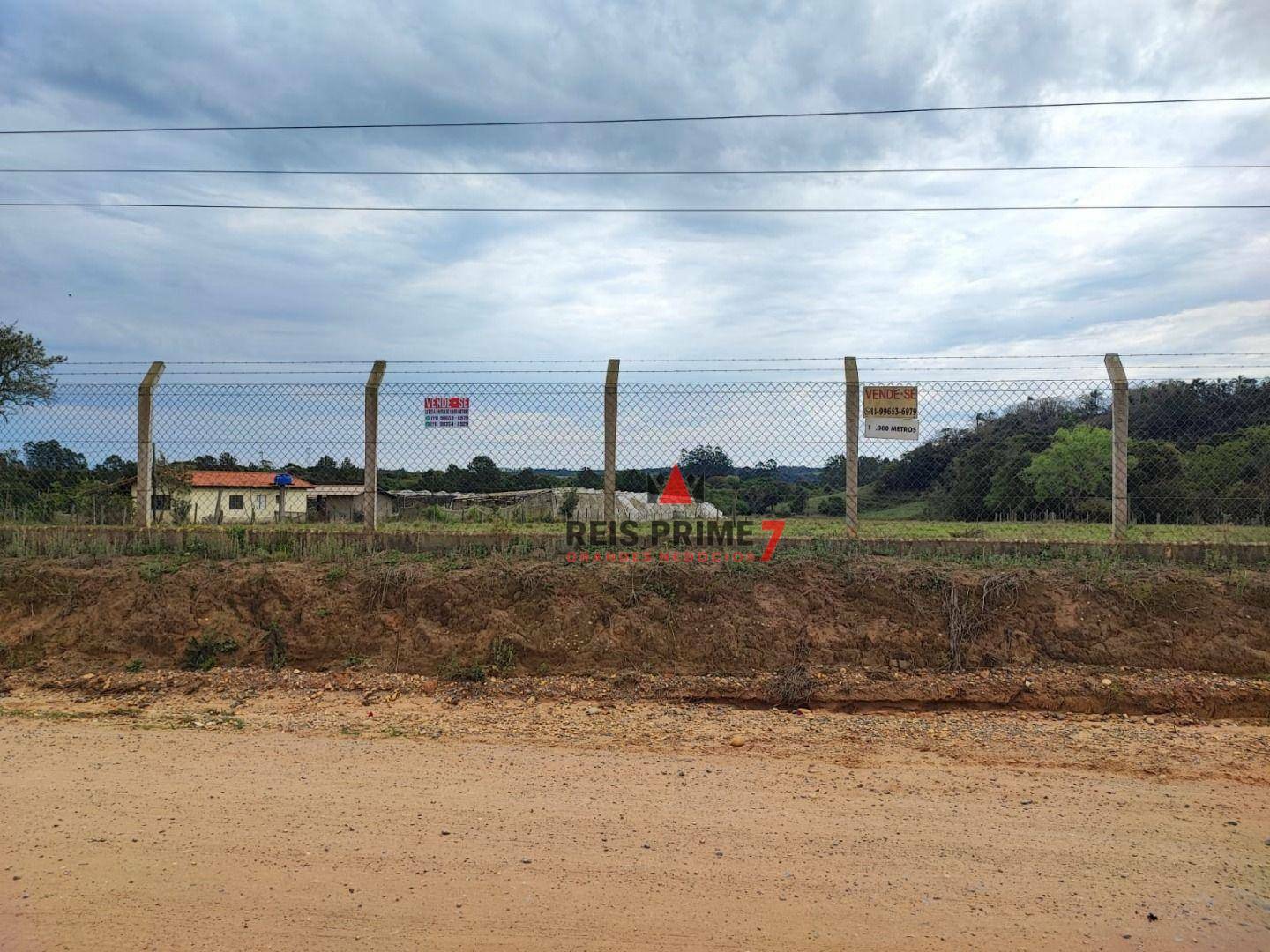 Terreno, 3 hectares - Foto 2