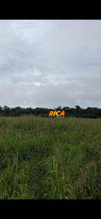 Fazenda à venda com 4 quartos, 2410000M2 - Foto 4