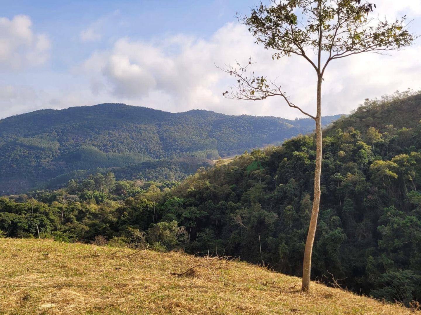 Fazenda à venda, 1292280M2 - Foto 23