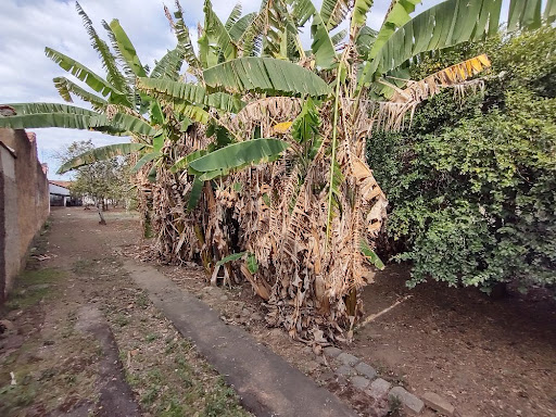 Casa à venda com 4 quartos, 150m² - Foto 10