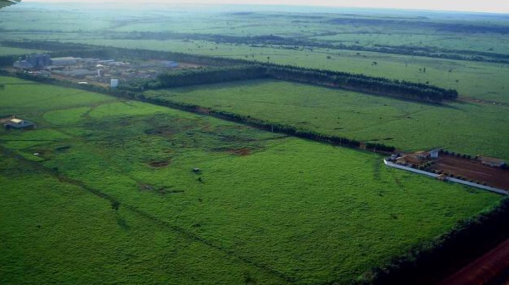 Fazenda-Sítio-Chácara, 103000 hectares - Foto 1