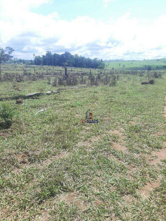 Fazenda à venda com 1 quarto, 3533200M2 - Foto 11