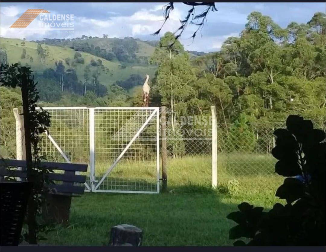 Chácara, 4 quartos, 2 hectares - Foto 7