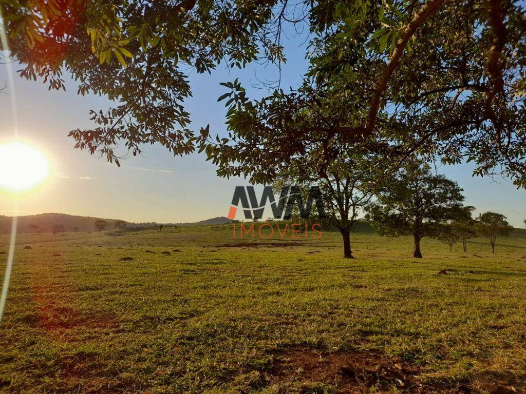 Fazenda à venda, 12100000M2 - Foto 7