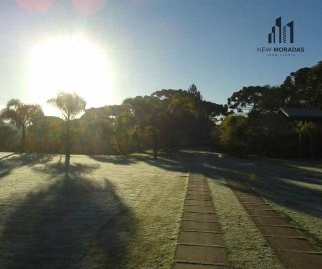 Terreno, 5000 m² - Foto 10