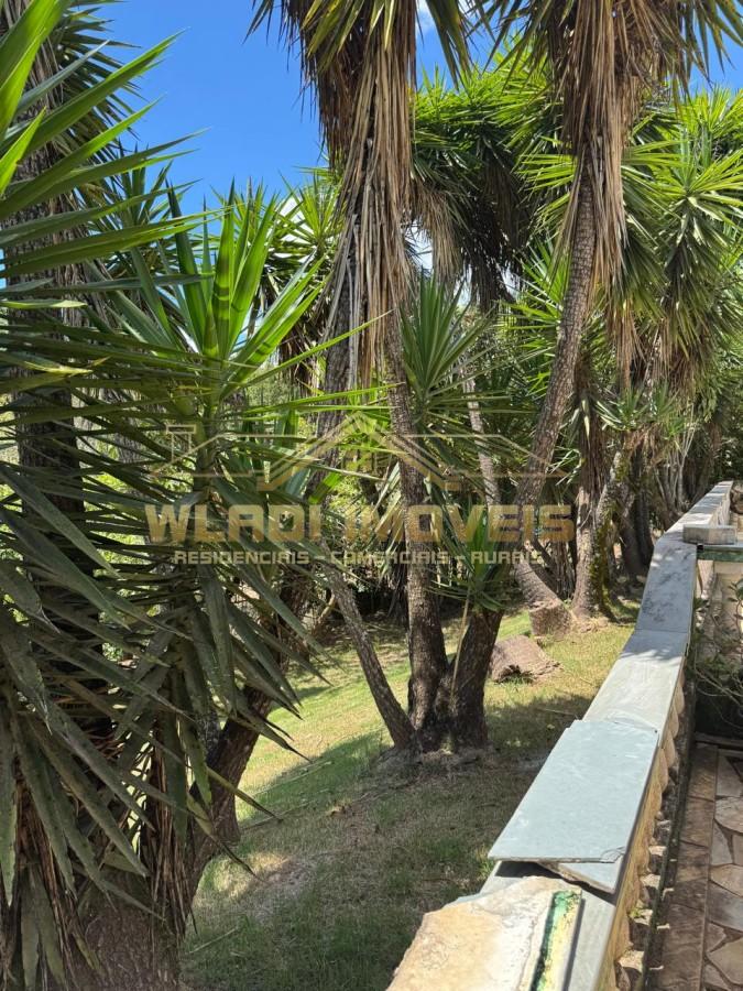 Chácara à venda, 15000m² - Foto 13