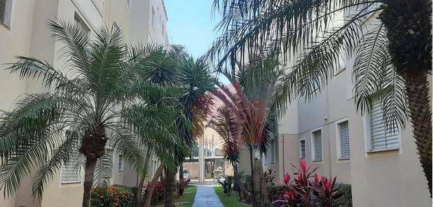 Apartamento à venda com 2 quartos, 49m² - Foto 12
