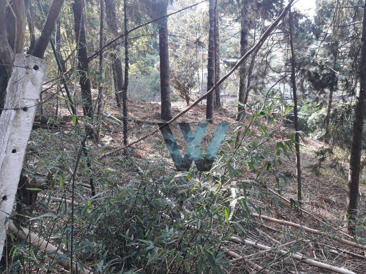 Terreno à venda, 525M2 - Foto 3