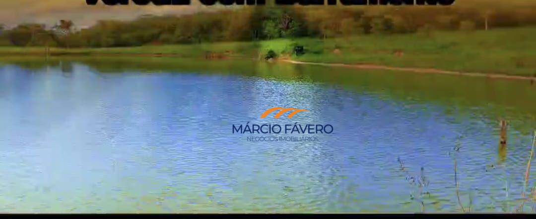 Fazenda-Sítio-Chácara, 980 hectares - Foto 2