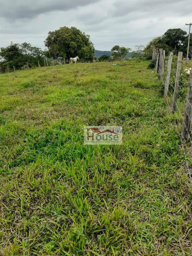 Terreno à venda, 8000M2 - Foto 8