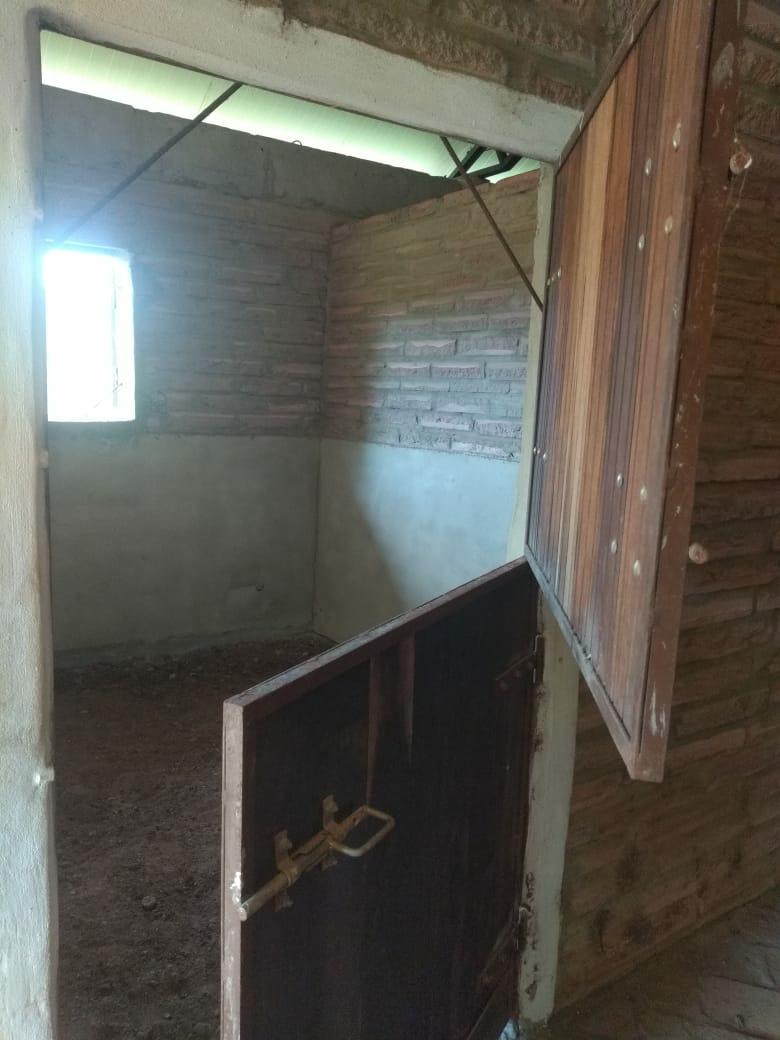 Sítio à venda com 1 quarto, 6000m² - Foto 7